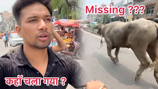 Sultan kaha chala gya ? #bullvlog #reaction #viral #missing