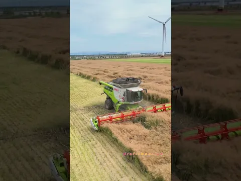 High-Efficiency CLAAS LEXION Combine Harvester Working in Fields