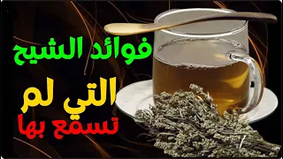فوائد الشيح  - فوائد شرب مغلي عشبة الشيح وبعد 7 ايام هذا ماسوف يحدث لجسمك وفق أحدث الدراسات
