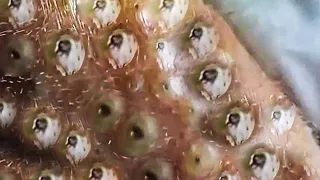 دليل تشغيل الآلة الصناعية#292