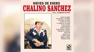 Chalino Sánchez - Me Persigue Tu Sombra (Visualizador Oficial)