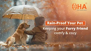 Essential rainy season Pet Care tips: Keep your furry friend happy and healthy! #oha #petcare