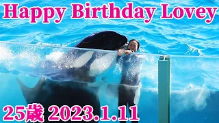ラビー25歳お誕生日おめでとう!! 鴨川シーワールド シャチ kamogawaseaworld orca killerwhale