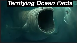 Why I’d Throat a Cactus Before I Go In The Ocean