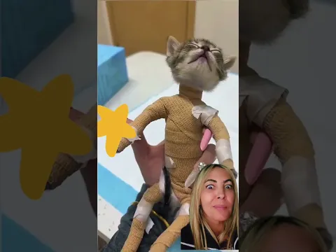 #humour #drôle #momlife #catcute #comédie #funny #rire