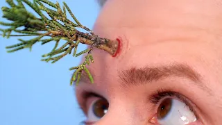 CHRISTMAS TREE GROWS OUT FACE!