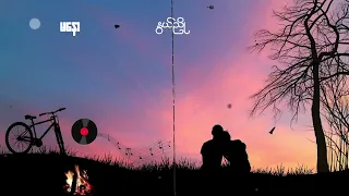နွယ်ညို (တစ်နေ့တော့ ကြွေမှာသိနေပေမယ့် မခူးရက်ခဲ့ဘူး...)