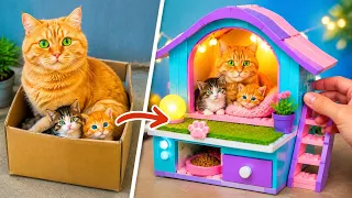 I FOUND A Homeless CAT 🙀 *Build a Secret Room For Kittens with Gadgets*