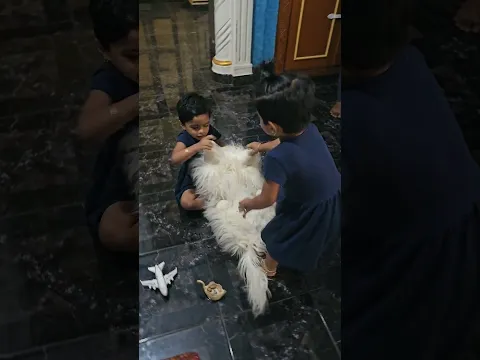 உங்க வீட்ல இப்படி நடந்துருக்கா😩🥰