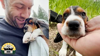 I've Never Been So Shocked By A Surrendered Dog - Poppy's Rescue Story | The Asher House
