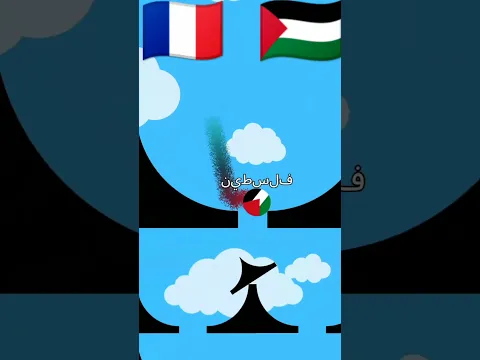 🇵🇸 vs فرنسا #recorder #battleroyale #shorts