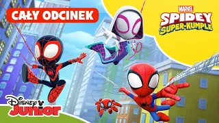 🕸️ CAŁY ODCINEK: Spidey do trzeciej potęgi / Cierpliwość Pantery | Spidey i super-kumple