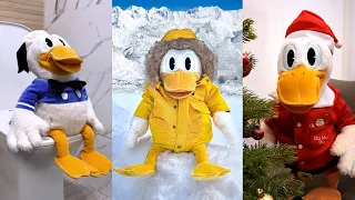 SI TE RIES PIERDES #4🤣🦆 - SAN PITO PATO (Recopilación #4)