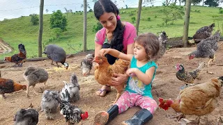 O cuidado com as galinhas do sítio
