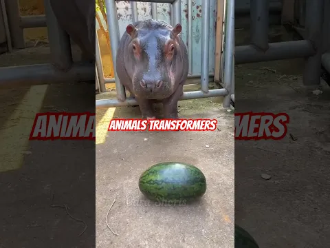 Amazing Animal Evolution in Nature! #animaljourney #animaltransformation #beautifulnature