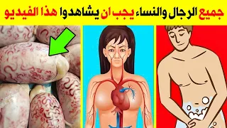 هل تعلم ماذا يحدث لجسمك اذا أكلت خصية الخروف أو بيض العجل؟ وحكم أكلة !