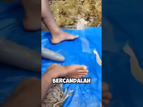 Bercanda lah sewajar nya saja #shorts