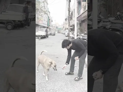 Doggy..!😭❤️(part1)🥹 | Piyush Khubnani | #shorts #ytshorts #emotional