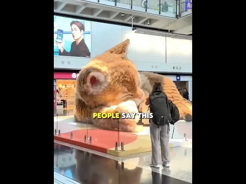 The Giant Cat Guarding This Mall 😹❤️