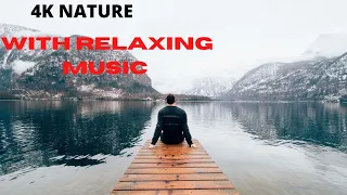 بث مباشر live stream nature's keeper 4K RELAXING MUSIC  , live nature beauty  breath taking