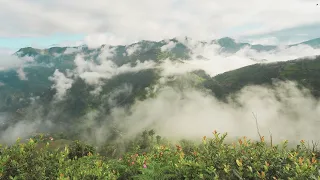 Chisapani