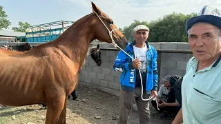 Ак-Бата мал базары арзан экен коруп билип алыныздар.