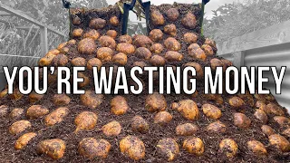 Why Growing Potatoes Changes How You Value Food
