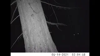 I Return To The Stand 6 Months Later And Retrieve The Camera, See What Is On It
