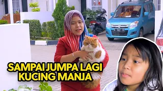 SAMPAI JUMPA KUCING MANJA | TITIPIN HEWAN PELIHARAAN DI PETSHOP SEBELUM KITA PERGI JAUH