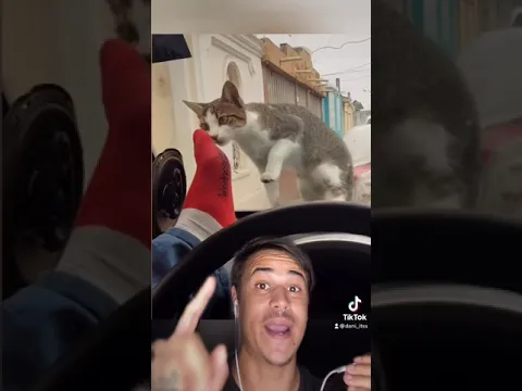 Momentos Satisfactorios De Karma Instantáneo 😯 #shorts