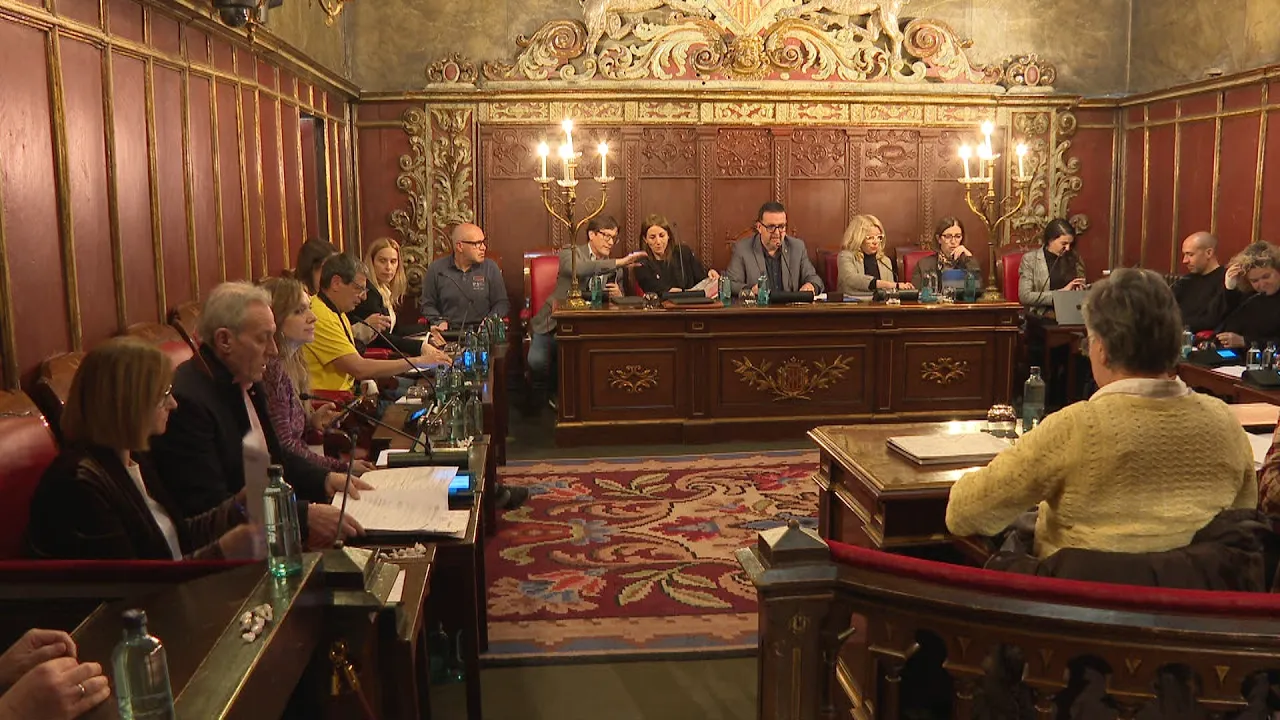 El Síndic de Greuges de Vic gestiona 95 intervencions, la majoria sobre seguretat i habitatge