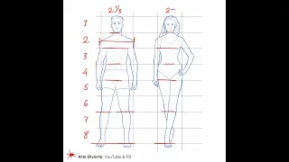 PROPORCIONES DEL CUERPO FÁCILES - PARA ARTISTAS - Cómo dibujarlas