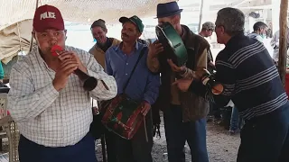 أحسن مول الغيطة 💥مبارك الشيشاوي مع أحسن مايسطرو مول الطعريجة 💥في سوق الأربعاء سيد التيجي 0🔥🔥💯👏