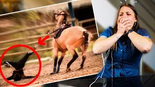 JE REAGIS AUX PIRES CHUTES à cheval de mes abonnés - Partie 5
