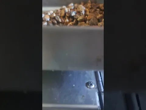 تعرفوا على زيت الخروع الأصلي عصر واستخراج زيت الخروع الأصلي .شعرك فيه فراغات اعملي حمامات زيت خروع