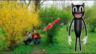 CARTOON CAT in Viata Reala
