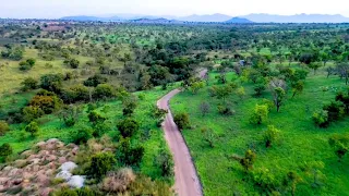 Gambella National Park #gambellanationalpark #Ethiopia #visitethiopian