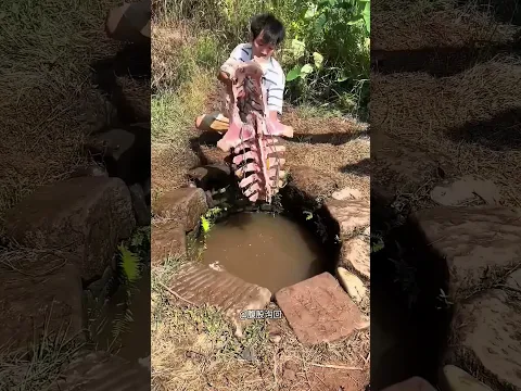 Homem Reencontra suas Tartarugas Gigantes no Poço 🐢❤️
