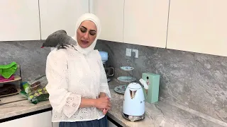 فطور عائلي مع ببغائنا الأفريقي الرمادي كنجم الحلقة