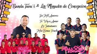 Popurrí Banda Tava´i y Los Mimados de Concepcion (((LO NUEVO 2025)))