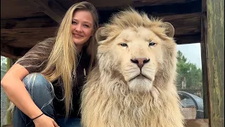CUDDLING A WHITE LION?!