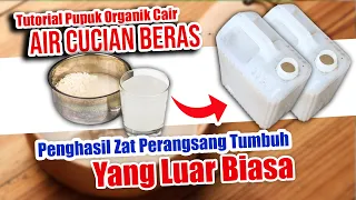 PUPUK ORGANIK CAIR DARI AIR CUCIAN BERAS.