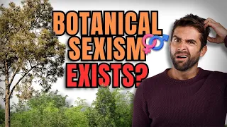 The Surprising Truth About Tree Pollen