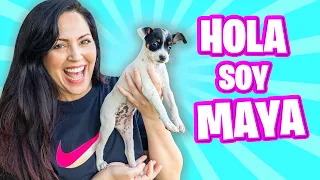 HOLA SOY MAYA! 🎁 PERRITO BEBE 😍 SORPRESA EPICA a Mia por su Cumpleaños 🔥 Sandra Cires Art