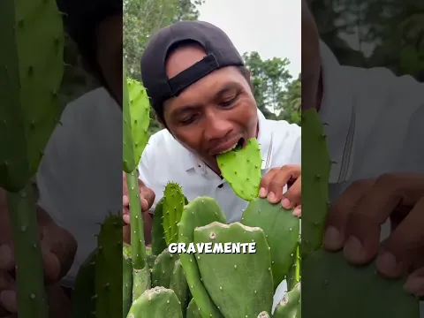 🌵 No Comas Un Cactus Así… ¡O Terminarás En El Hospital! 😱