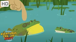 Criaturas semi-acuáticas | Ranas, cocodrilos + más [episodios completos] Aventuras con los Kratt