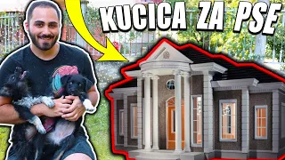 PRAVIMO NOVU KUCU ZA NASE KUCE ! *VILA ZA PSE !*