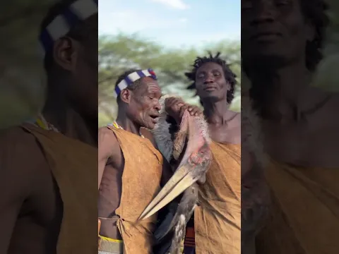 What a beautiful day ‼️❤️🔥 Hadzabe-bushmen catch the Vulture for today Lunch #hadzabetribe #viral