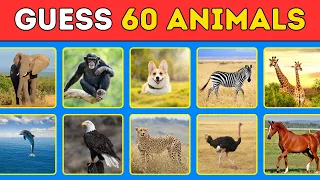 Guess 60 Animals in 3 Seconds? | Easy, Medium and Hard Level 🧠