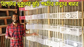 #135 রিপোর্টার মুকুলের ঝুড়ি পদ্ধতির কবুতর খামার || kobutor palon in Bangladesh